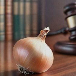 Peeling Back the Onion on New Hires: Getting to know your prospective attorney's credentials